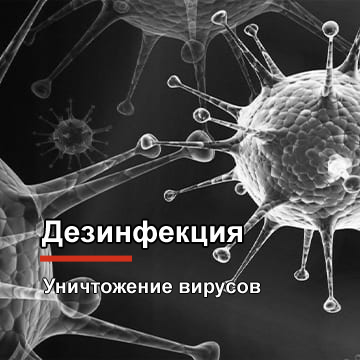 Дезинфекция